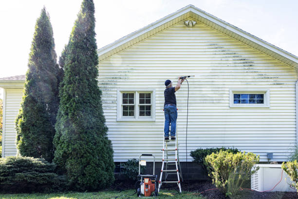 Professional Pressure washing in Alamosa East, CO