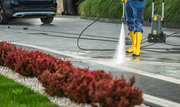 Best Sidewalk and Walkway Cleaning  in Alamosa East, CO